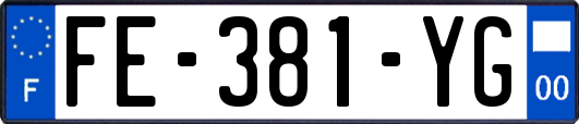 FE-381-YG