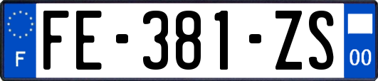 FE-381-ZS