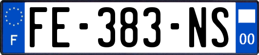 FE-383-NS