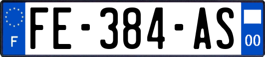 FE-384-AS
