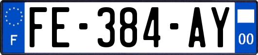 FE-384-AY