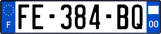 FE-384-BQ
