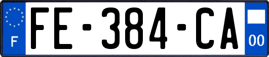 FE-384-CA