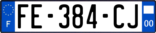 FE-384-CJ