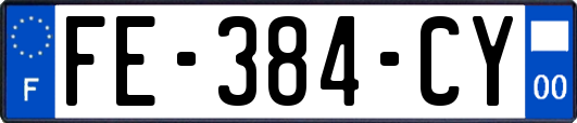 FE-384-CY