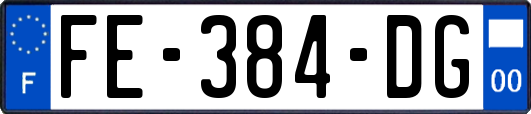 FE-384-DG