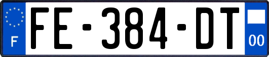 FE-384-DT