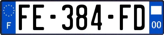 FE-384-FD