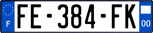 FE-384-FK