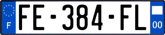 FE-384-FL