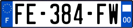 FE-384-FW