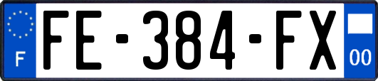 FE-384-FX
