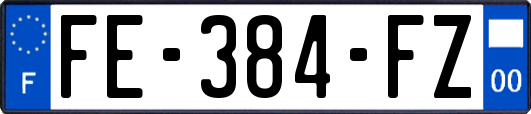 FE-384-FZ