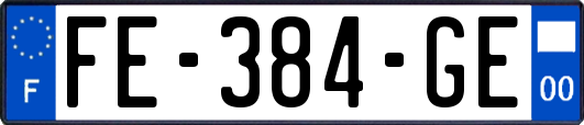 FE-384-GE
