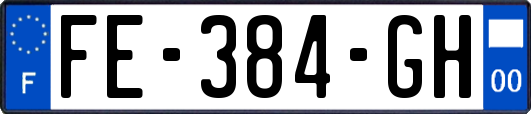 FE-384-GH