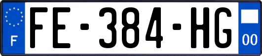 FE-384-HG