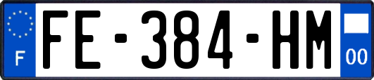 FE-384-HM