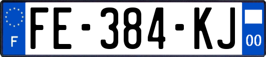 FE-384-KJ