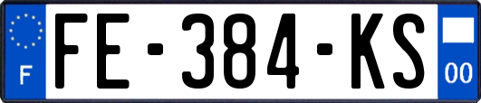 FE-384-KS