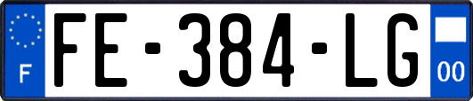 FE-384-LG