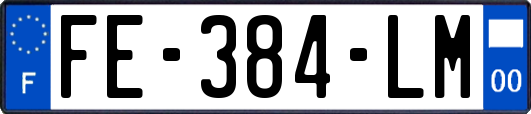 FE-384-LM