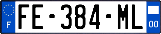 FE-384-ML