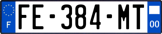 FE-384-MT