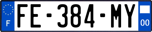 FE-384-MY