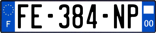 FE-384-NP