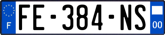 FE-384-NS