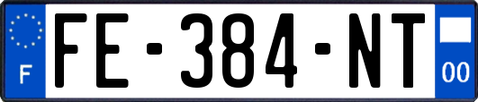 FE-384-NT