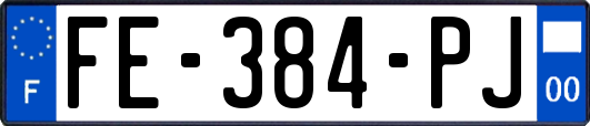 FE-384-PJ