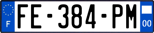 FE-384-PM