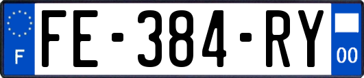 FE-384-RY