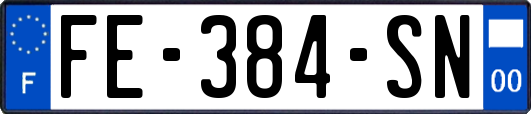 FE-384-SN
