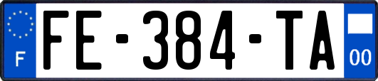 FE-384-TA