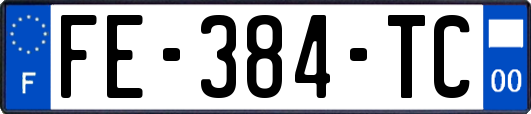 FE-384-TC