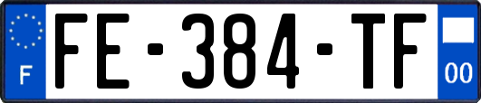 FE-384-TF
