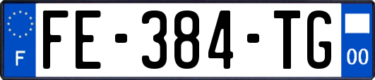 FE-384-TG