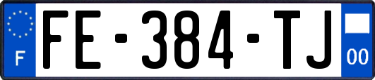 FE-384-TJ