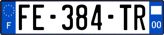 FE-384-TR