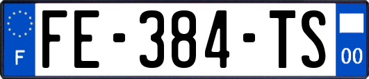 FE-384-TS