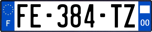 FE-384-TZ