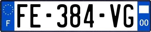 FE-384-VG