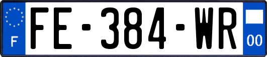 FE-384-WR