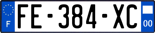 FE-384-XC