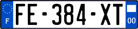 FE-384-XT
