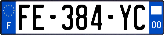 FE-384-YC