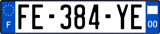 FE-384-YE