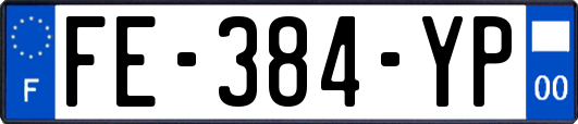 FE-384-YP